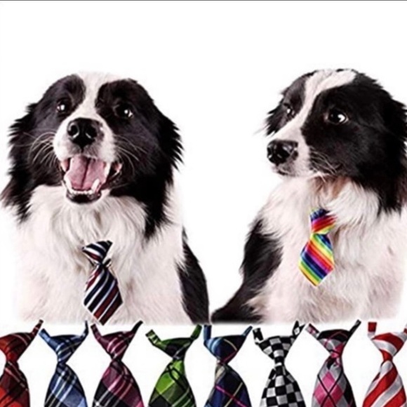 Adjusting Dog Neck Tie Collar - Picture 4 of 7